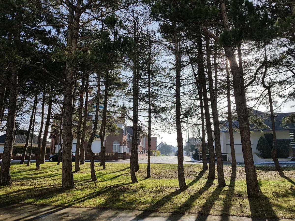 Sunny Days - App 60 M2 Avec Balcon, 4 Pers, 3E Etage, Au Calme Et Ensoleille Leilighet Le Touquet Eksteriør bilde